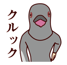 437556476