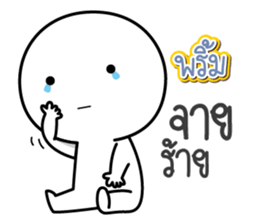 43760568