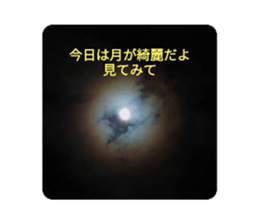 437621261