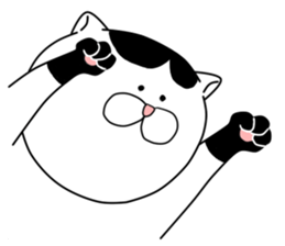 4376231