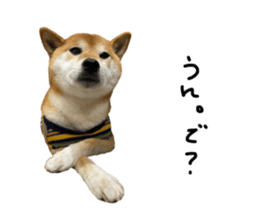 437640509