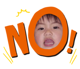 437665377