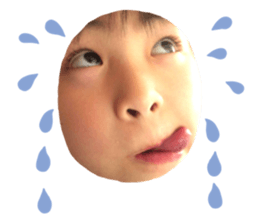 437665380