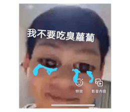 437685517