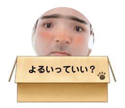437686225