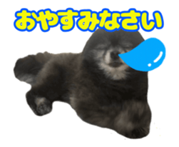 437744953