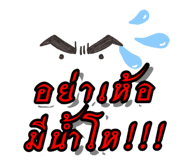 437777575