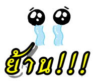 437777581