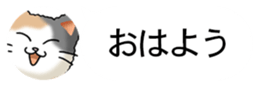 437786822