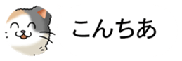 437786823