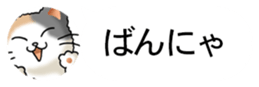 437786824