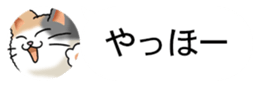 437786825