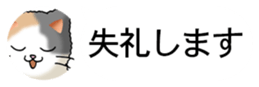 437786827