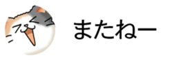 437786828