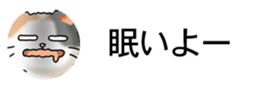 437786829
