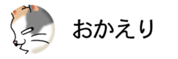 437786831