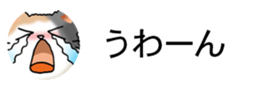 437786843
