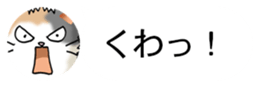 437786844