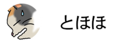 437786847