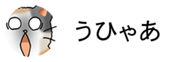 437786850