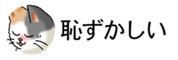 437786858