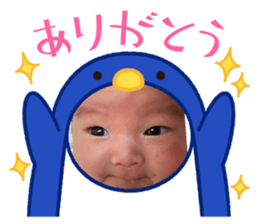 437806136