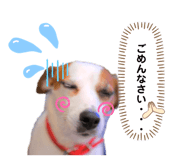 437821559