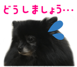 43782570