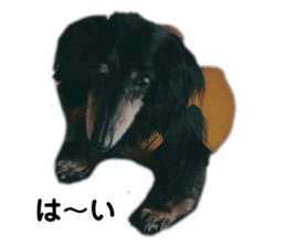 437870298