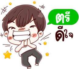 43790304