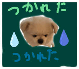 437945035