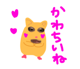 437952396