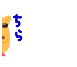 437952412