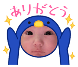 437955061