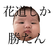 437963409