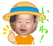 437966142