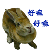 43797175