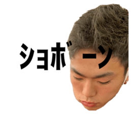 438016028