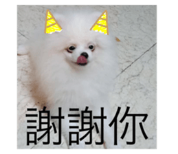 438030386