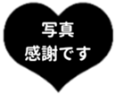 438032660