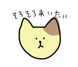 438062628