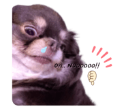 438101832