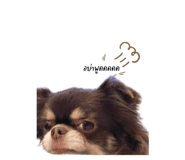 438101834