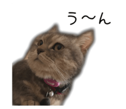 438122282