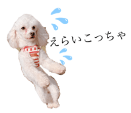438125624