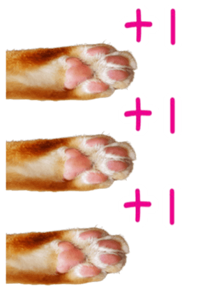 438185431