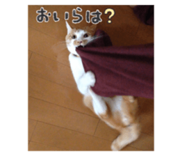 438217277