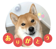 438291815