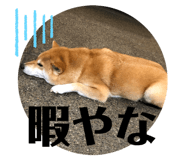 438291820