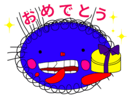 43829852